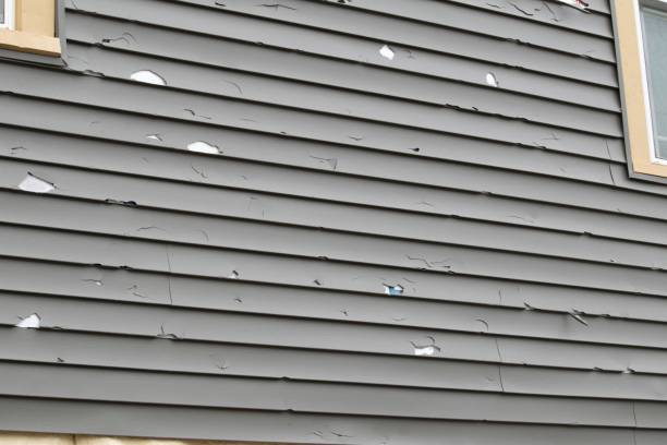 Affordable Siding Repair and Maintenance Services in Chico, WA